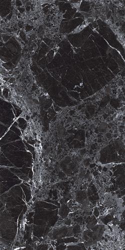 EMPRADOR PIONEER - Ürün Görseli