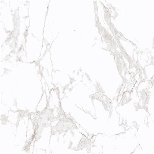 CARRARA - Ürün Görseli